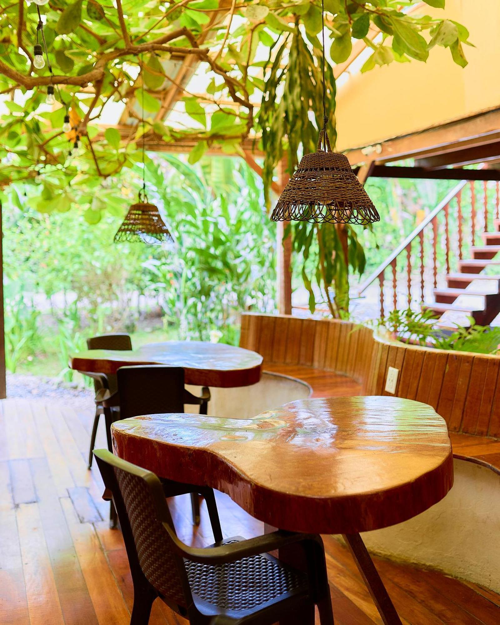 Cabinas Montesol Puerto Viejo de Talamanca Εξωτερικό φωτογραφία